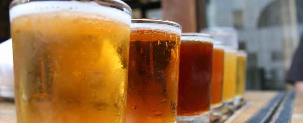 Microbiota a beer a day is good for the intestine