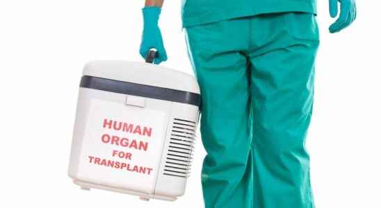 National Organ Donation Day concerns for the transplant plan