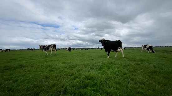 Nitrogen plans announced Gelderse Vallei emissions must be reduced by