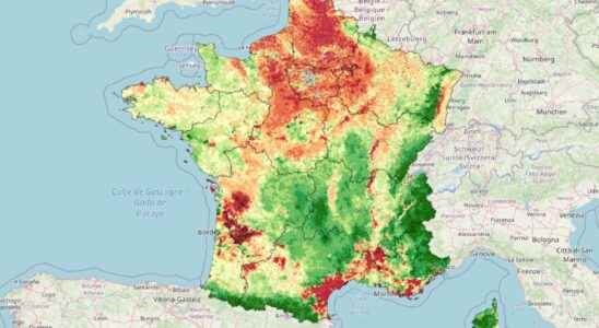 Pesticides a map to find out how much they are