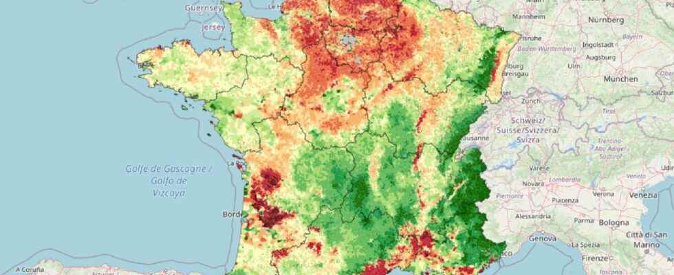 Pesticides a map to find out how much they are