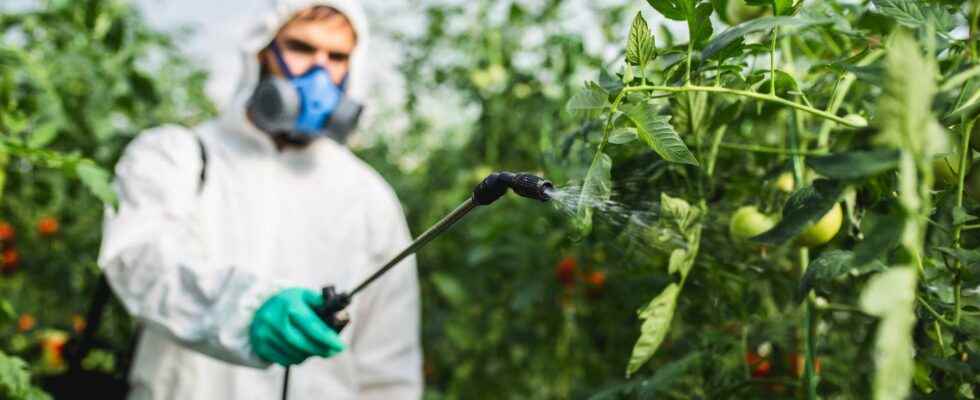 Pesticides in France which regions are most at risk