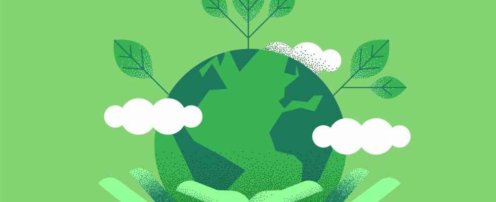 Reducing your carbon footprint 6 really effective ways