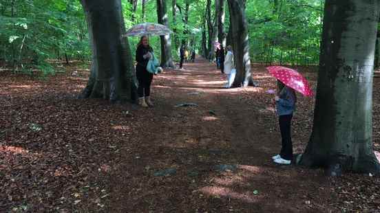 Road cleared for housing on estate in Soesterberg Council of