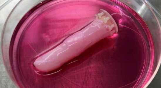 Robotic finger covered with living skin made from human cells