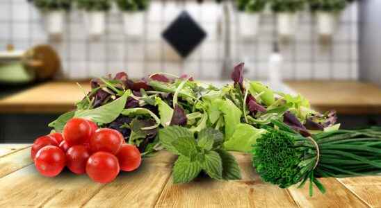 Salad of fresh herbs and mesclun with zaatar