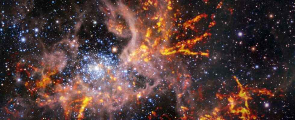 Spectacular images of the Tarantula Nebula unveiled by ESO