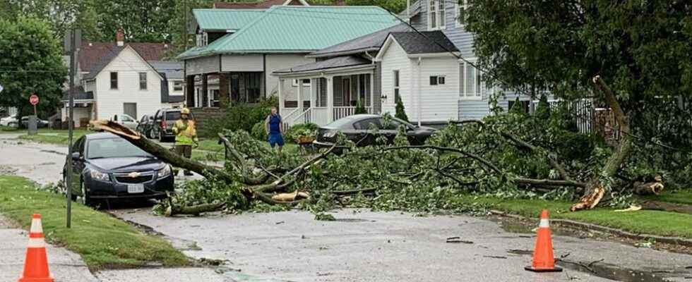 Storm knocks out power across Chatham Kent