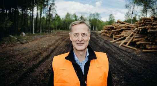 Sveaskogs CEO Erik Brandsma opens up for lower felling targets