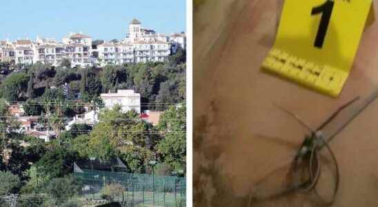 Swede was tortured and murdered on the Spanish sunny coast