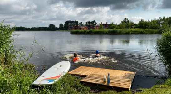 Swimmers confused and angry after their jetty was removed from