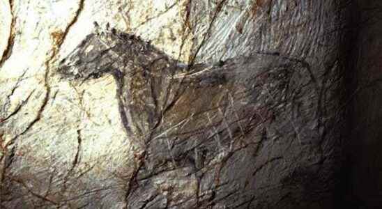 The Cosquer cave Paleolithic sanctuary under the sea in Marseille