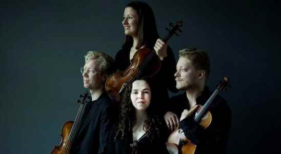 The Marmen Quartets empathetic interpretation of Haydn gives more flavor