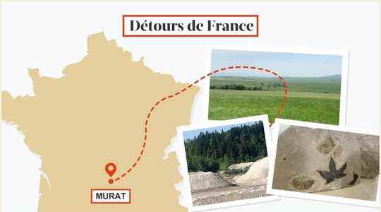 The battle for the Cantal diatom has only just begun