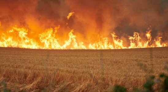 The fires in Spain Evacuated people return home