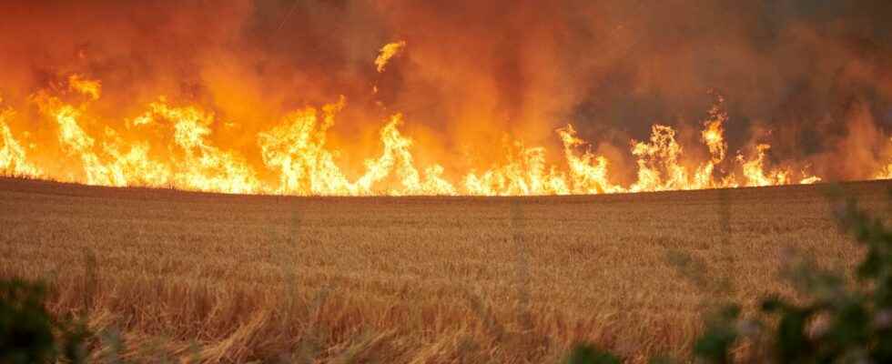 The fires in Spain Evacuated people return home