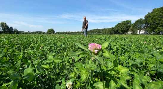 The future is also uncertain for almost organic farmer Simon