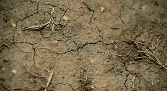 The heat wave begins in France the drought worsens