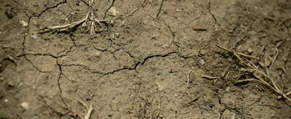 The heat wave begins in France the drought worsens