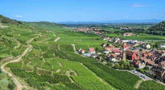 The north of France has the climate of the south