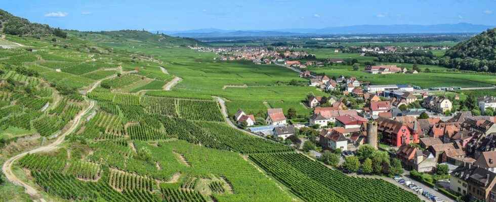 The north of France has the climate of the south