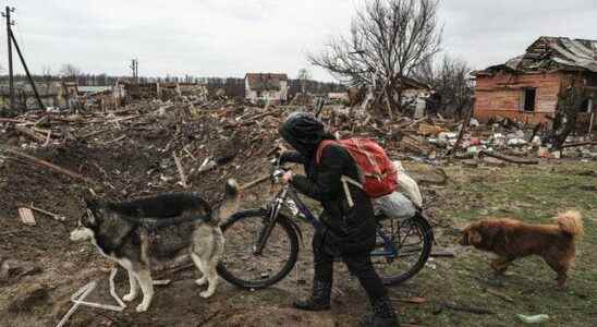 The terrible face of the Russia Ukraine war Sexual violence including