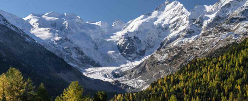 The whole of the Alps is affected by a greening