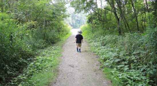 Trail closures in St Clair Region due to renovation projects