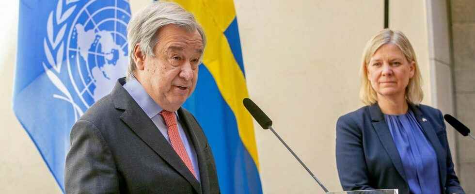 UN chief warns of global food crisis Act quickly and