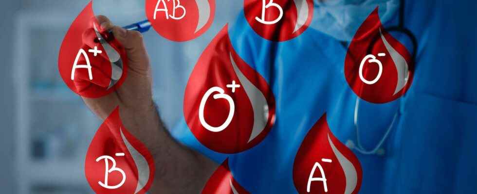 Where do the different blood groups come from