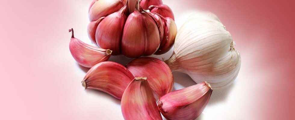 Why does garlic give bad breath