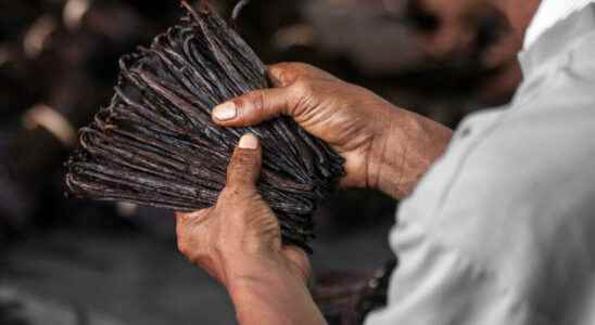 anger of vanilla producers at exporters breaking fixed prices