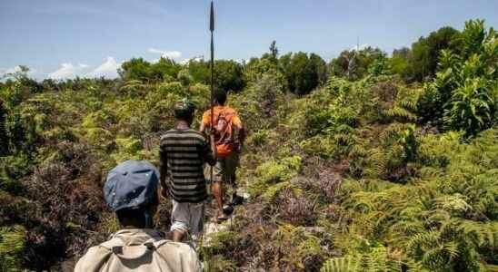 citizens mobilize after the assassination of an environmental protector