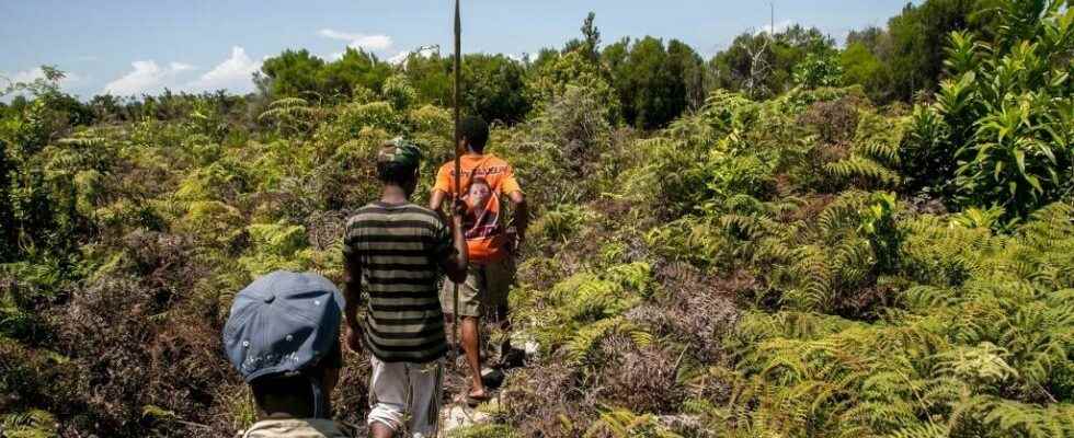 citizens mobilize after the assassination of an environmental protector