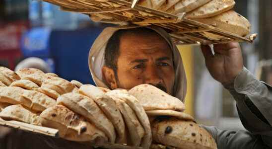 soon bread with sweet potato to reduce wheat imports