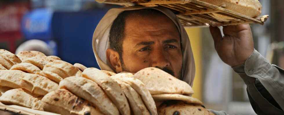 soon bread with sweet potato to reduce wheat imports