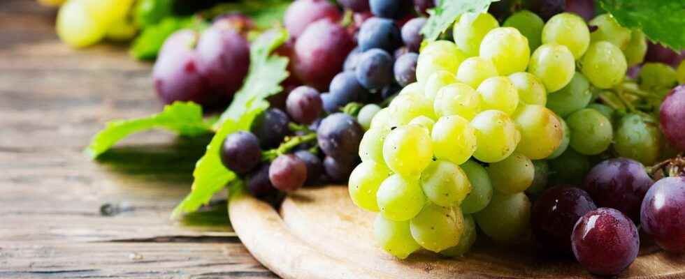 5 Ways to Eat Grapes wikiHow