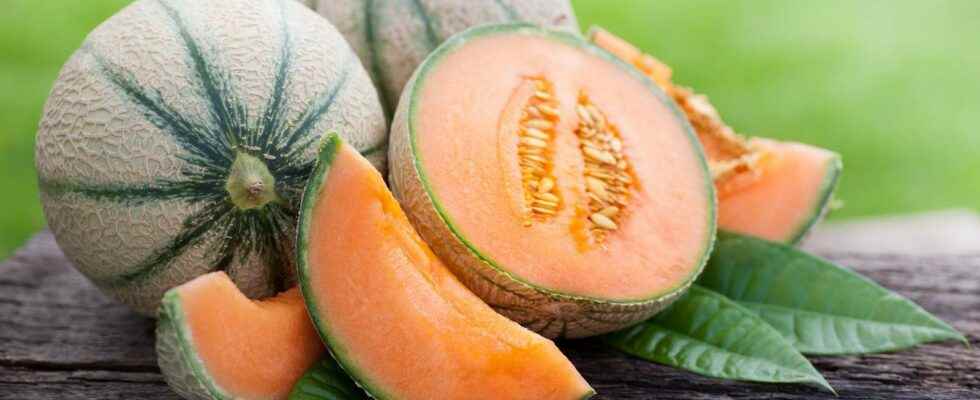 5 Ways to Eat Melon wikiHow