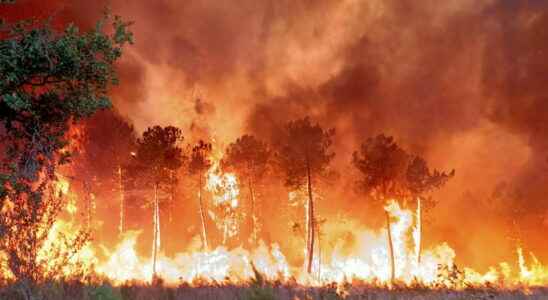 7000 hectares burned the fire is still progressing