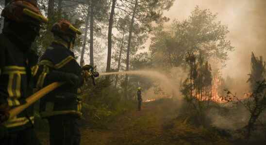 900 hectares burned what we know about the advance of