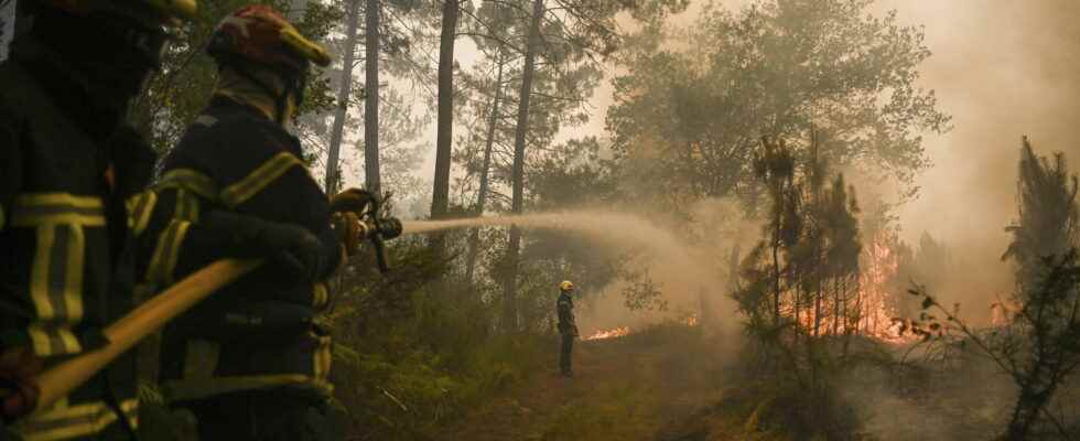 900 hectares burned what we know about the advance of