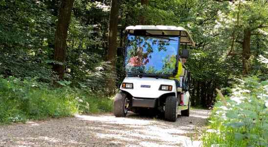 Bosboemel Amerongen The passengers are completely revived in the forest