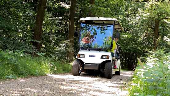 Bosboemel Amerongen The passengers are completely revived in the forest