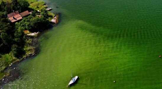 C wants to reduce eutrophication of the Baltic Sea