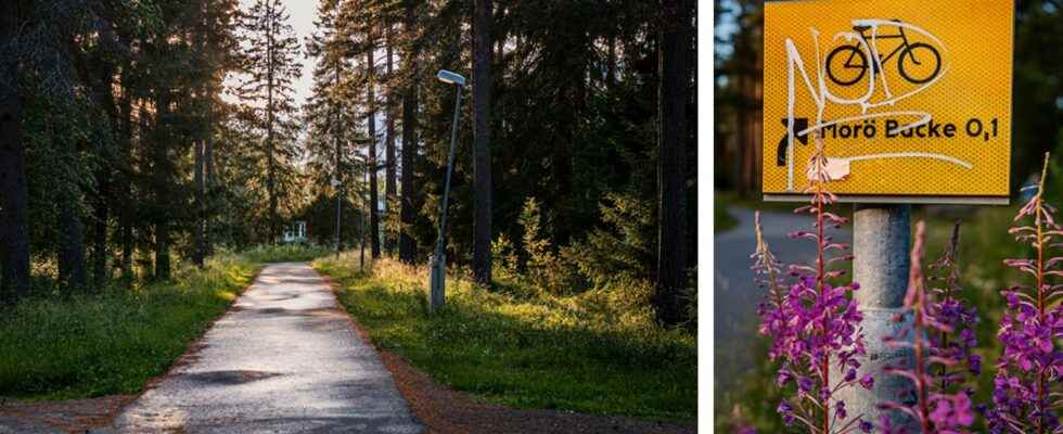 Concerns in Skelleftea attempted murder of a girl under