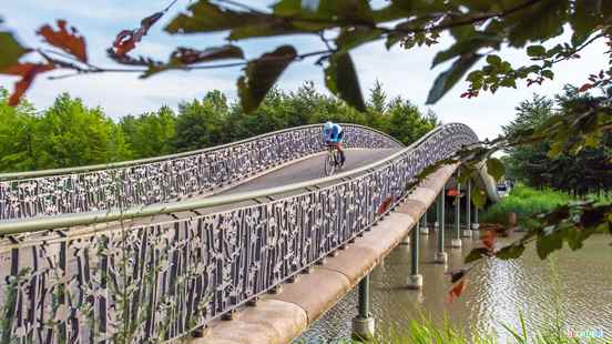 Cycling race for the worlds top women passes through Leidsche