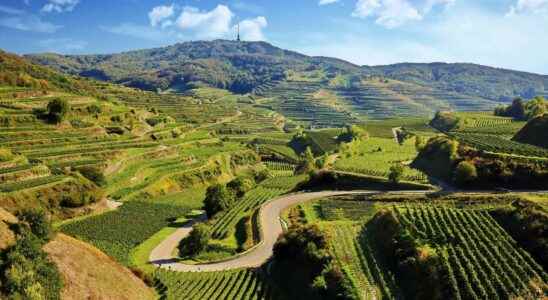 Discovering a very special volcano the Kaiserstuhl