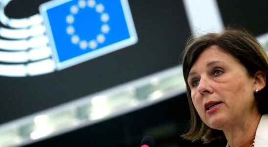 EU concerns about public service