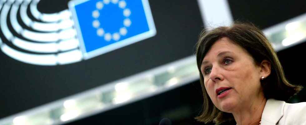 EU concerns about public service