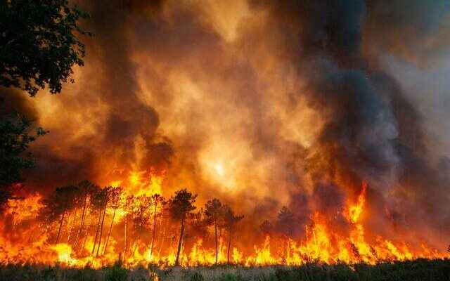 Europe is scorching with extreme heat It caused the death